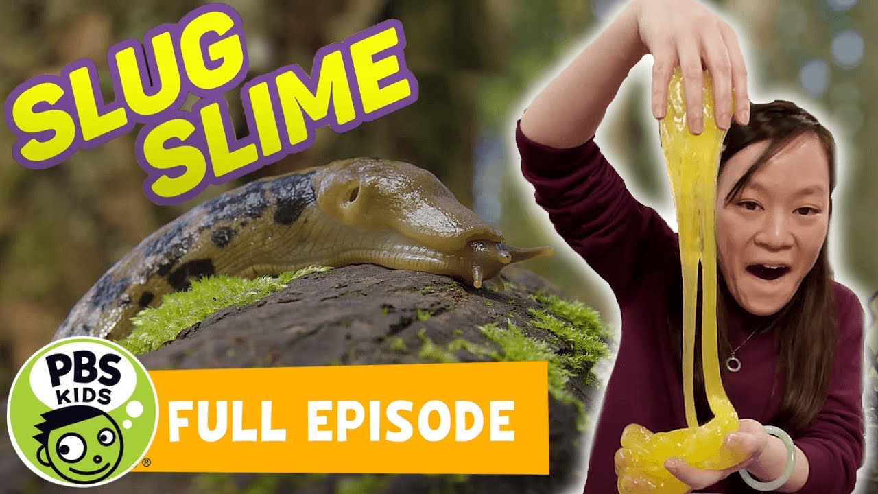 Mega Wow | How to Make Slug Slime! | PBS KIDS
