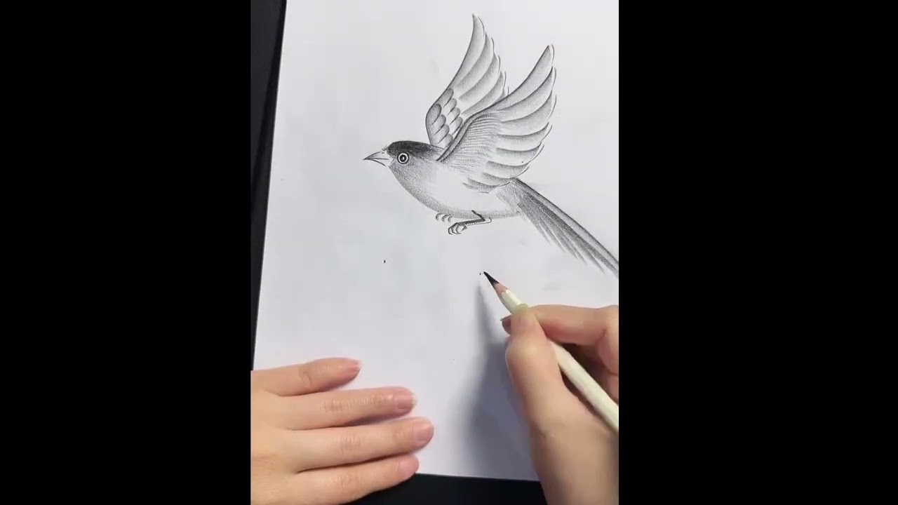 Sketching a Swallow with Chinese Aesthetic — Elegant Traditional-Inspired Drawing