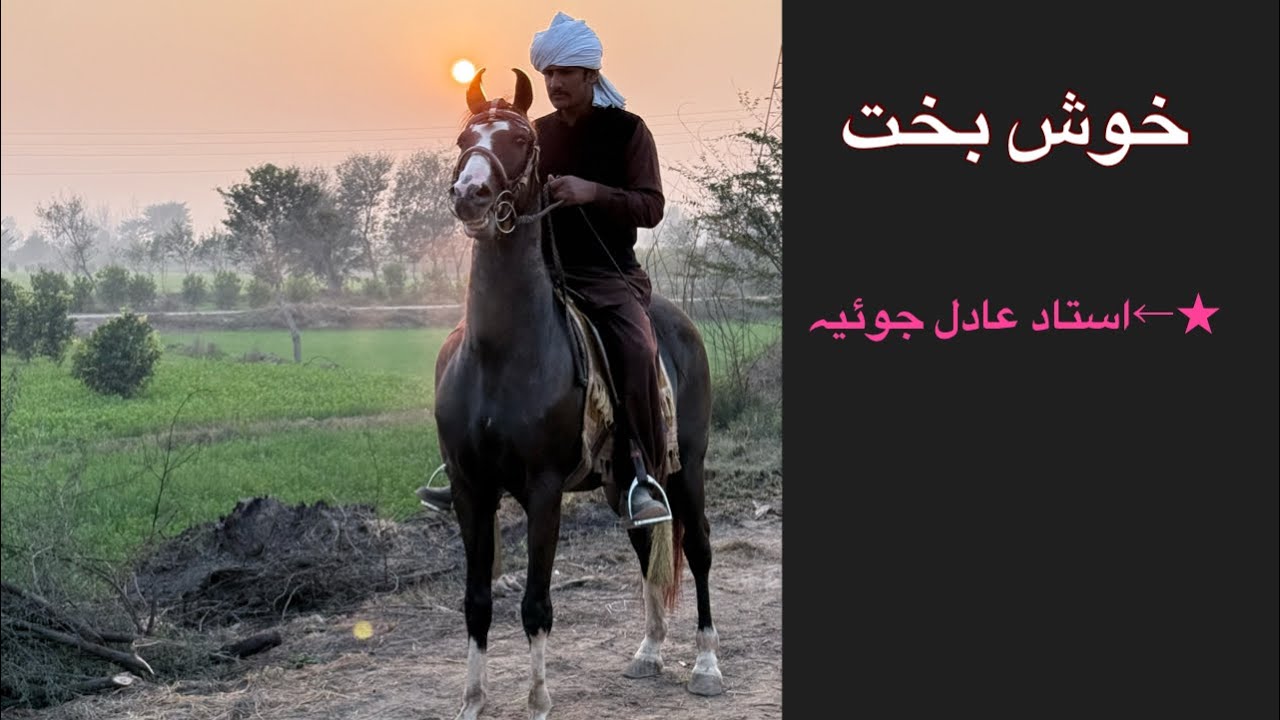 Khush Bkhat/خوش بخت 