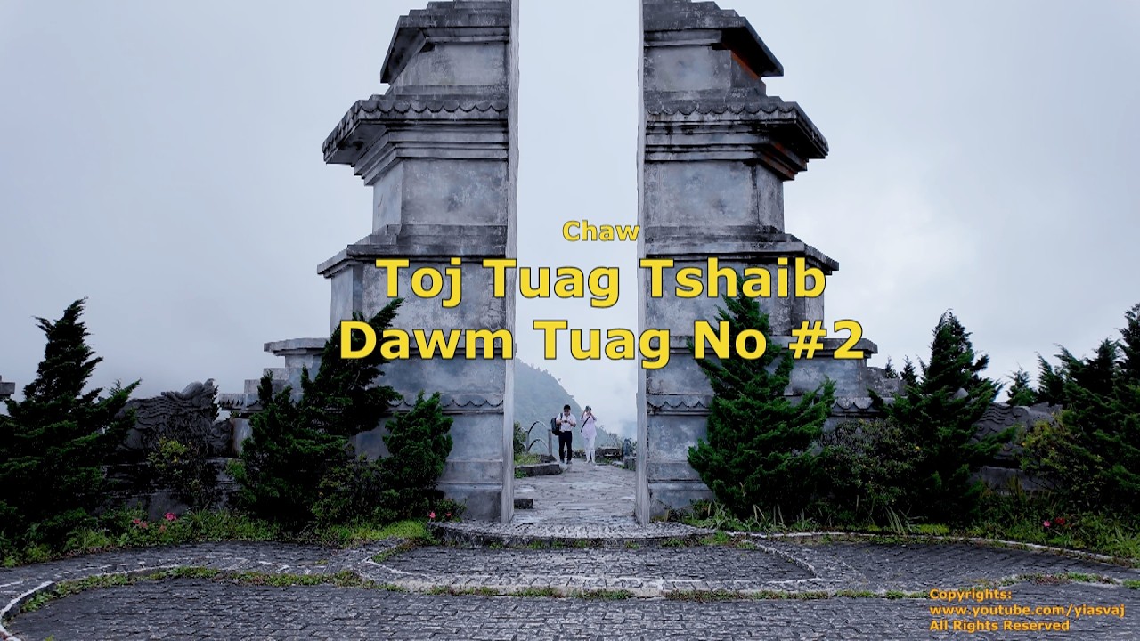 Toj Tuag Tshaib Dawm Tuag No #2