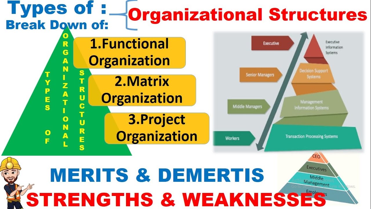 what are the types of organizational structures?|Principles & working of Organizational structures