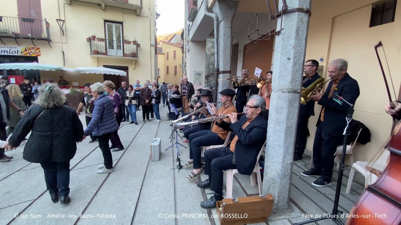 Fête de l'Ours d'Arles sur Tech Cobla Principal del Rossello -1
