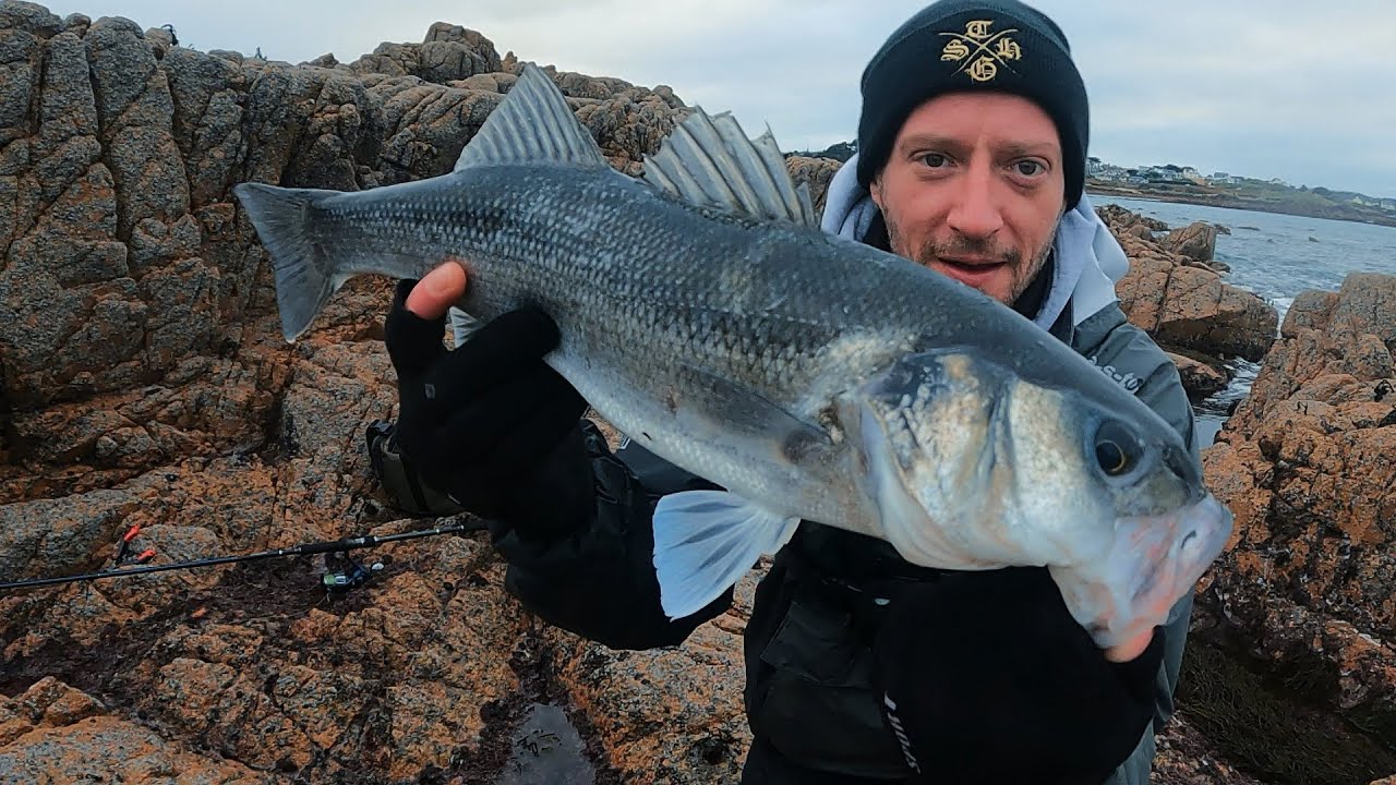 CATCHING BASS ON SURFACE LURES IN WINTER | LURE FISHING FOR BASS