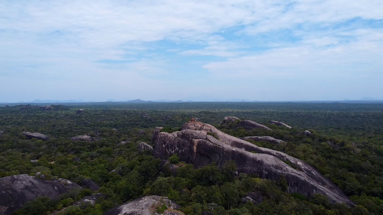 Kudumbigala Sanctuary | Okanda, Sri Lanka | | DJI Mini Drone Video