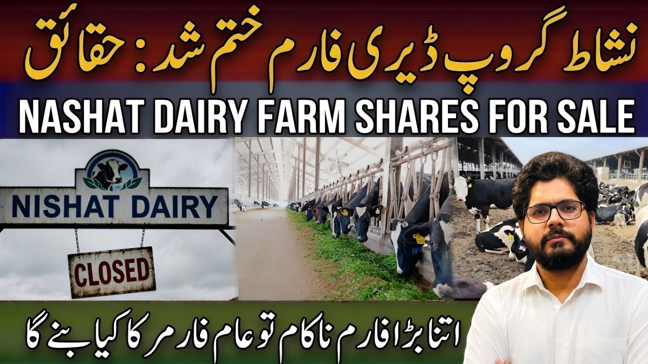 7000 Cow Farm: Did Nishat Dairy Close? Or Is It Fake News?