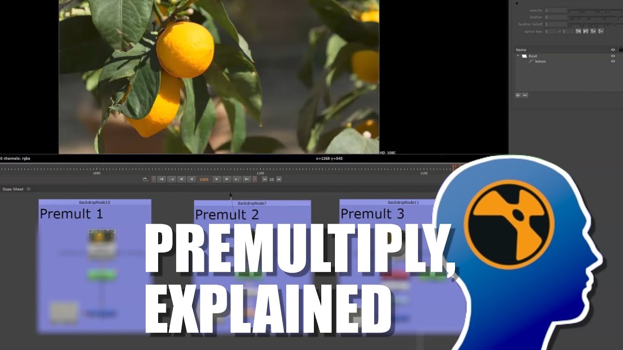 Premultiply in Nuke, Explained