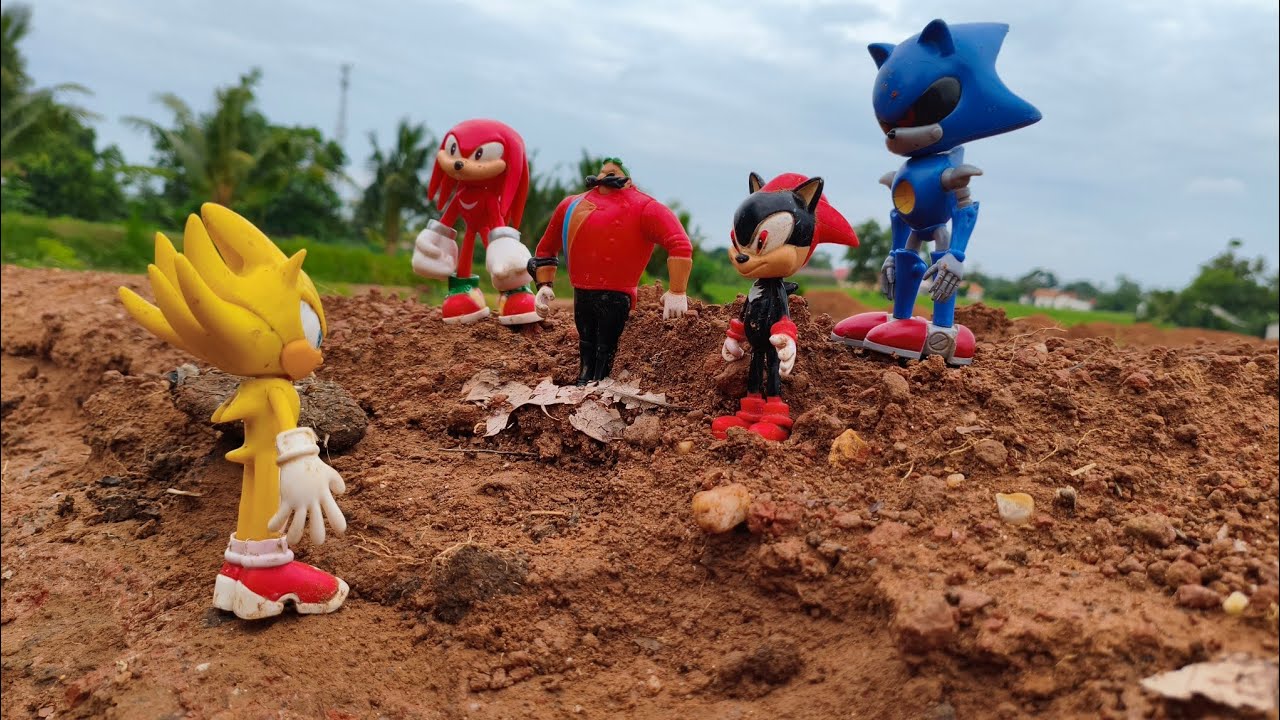 Hunting Sonic The Hedgehog:Sonic/Knuckles/Silver/Shadow/Metal Sonic/Tails/Amy Rose/Egg Man/Rouge