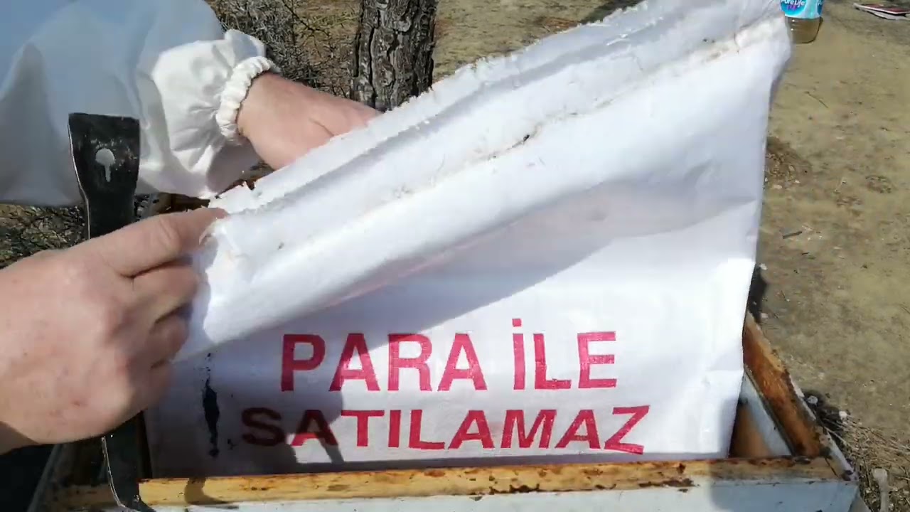 Arıcılık. karniyol ırkı arı kışı nasıl ge&ccedil;irmiş. 6/02/2022