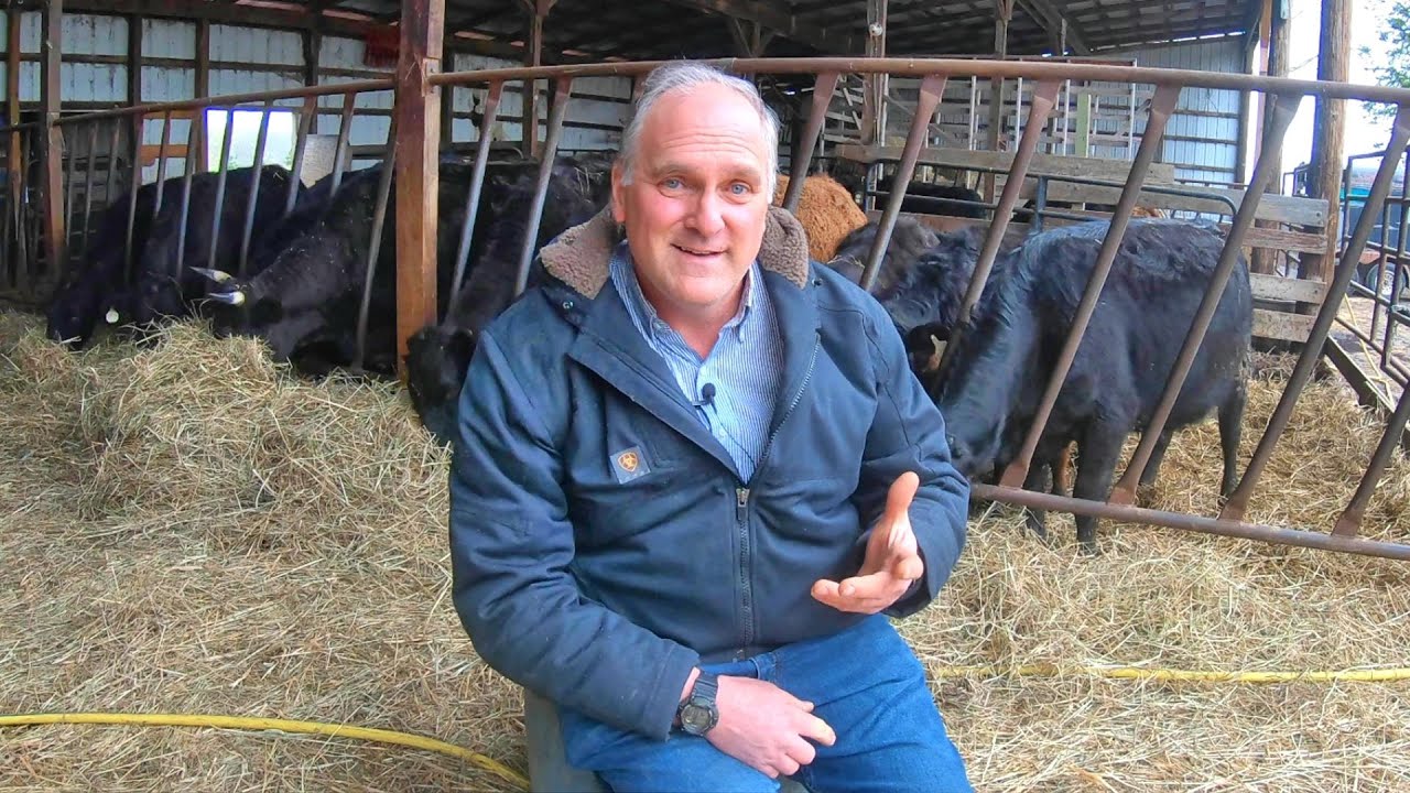 Small Farm Sunday: как построить инфраструктуру фермы, не влезая в долги