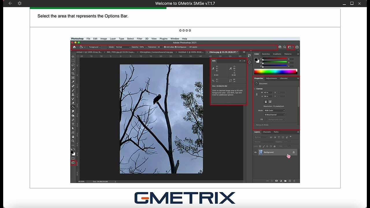 Gmetrix Photoshop Study Guide 2025-2026