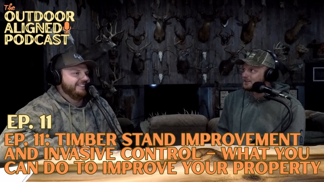 Ep. 11: Timber Stand Improvement and Invasive Control – What You Can Do to Improve Your Property