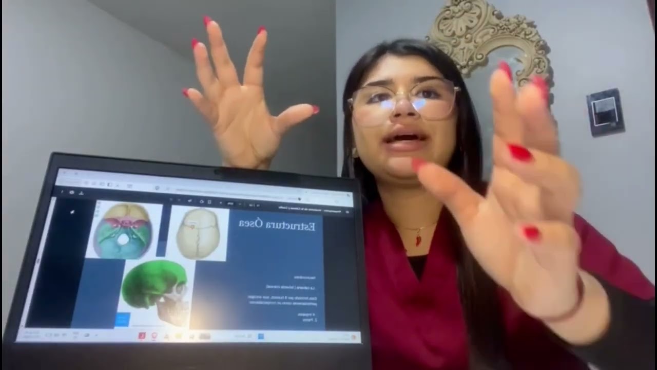 Unidad II - Anatomía de Cabeza y Cuello