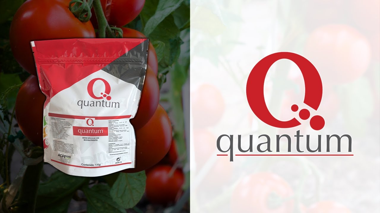 Charla sobre el producto Quantum