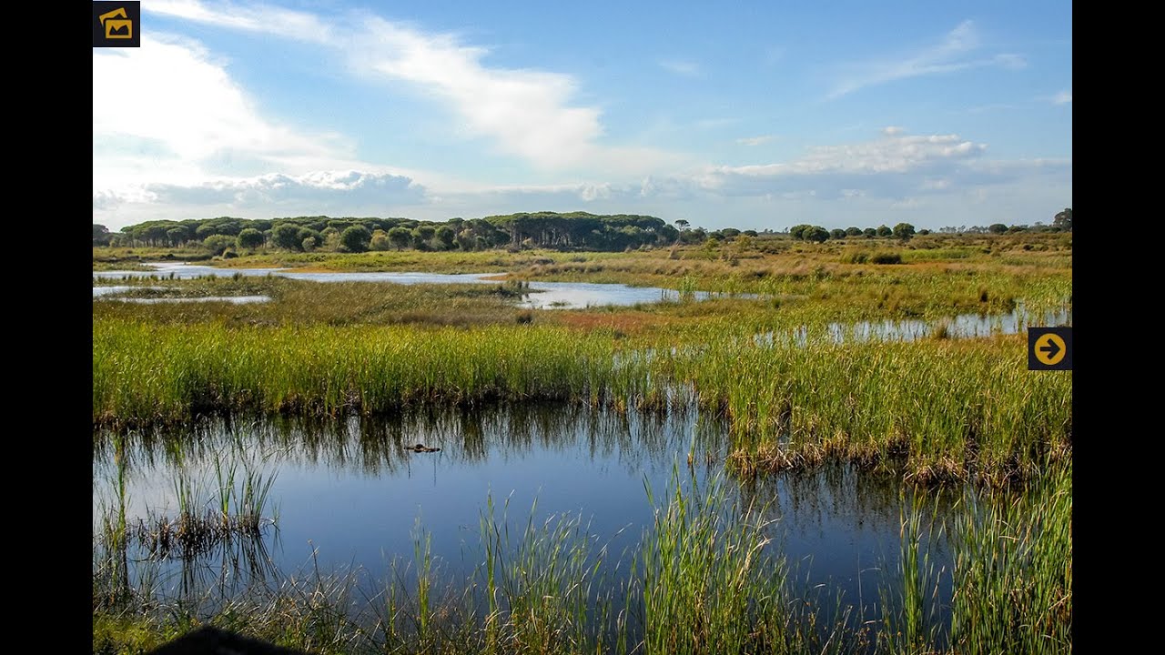 Parque Nacional de Doñana