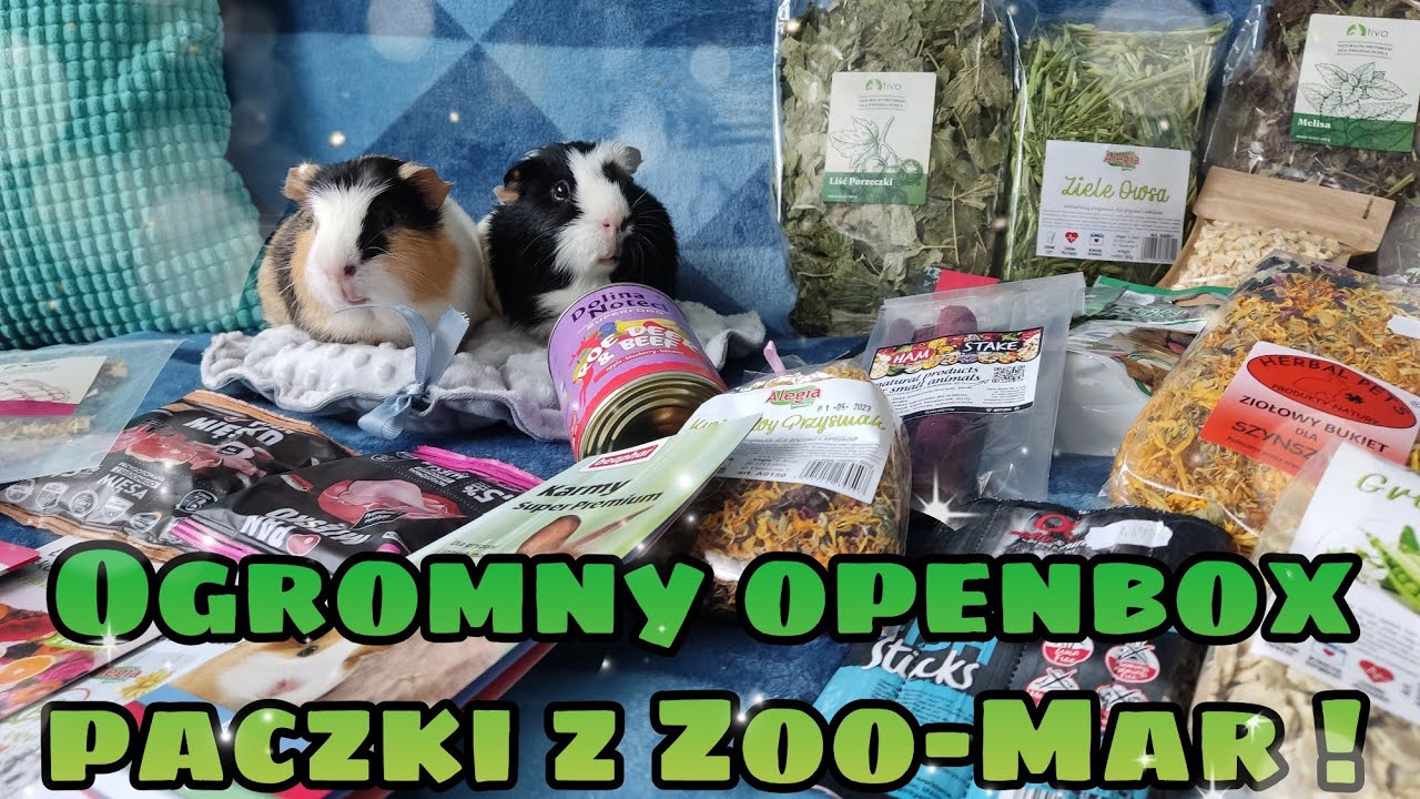 BARDZO DUŻY OPENBOX PACZKI Z SKLEPU ZOO-MAR 💚🐍! Co zam&oacute;wiłam dla zwierząt?