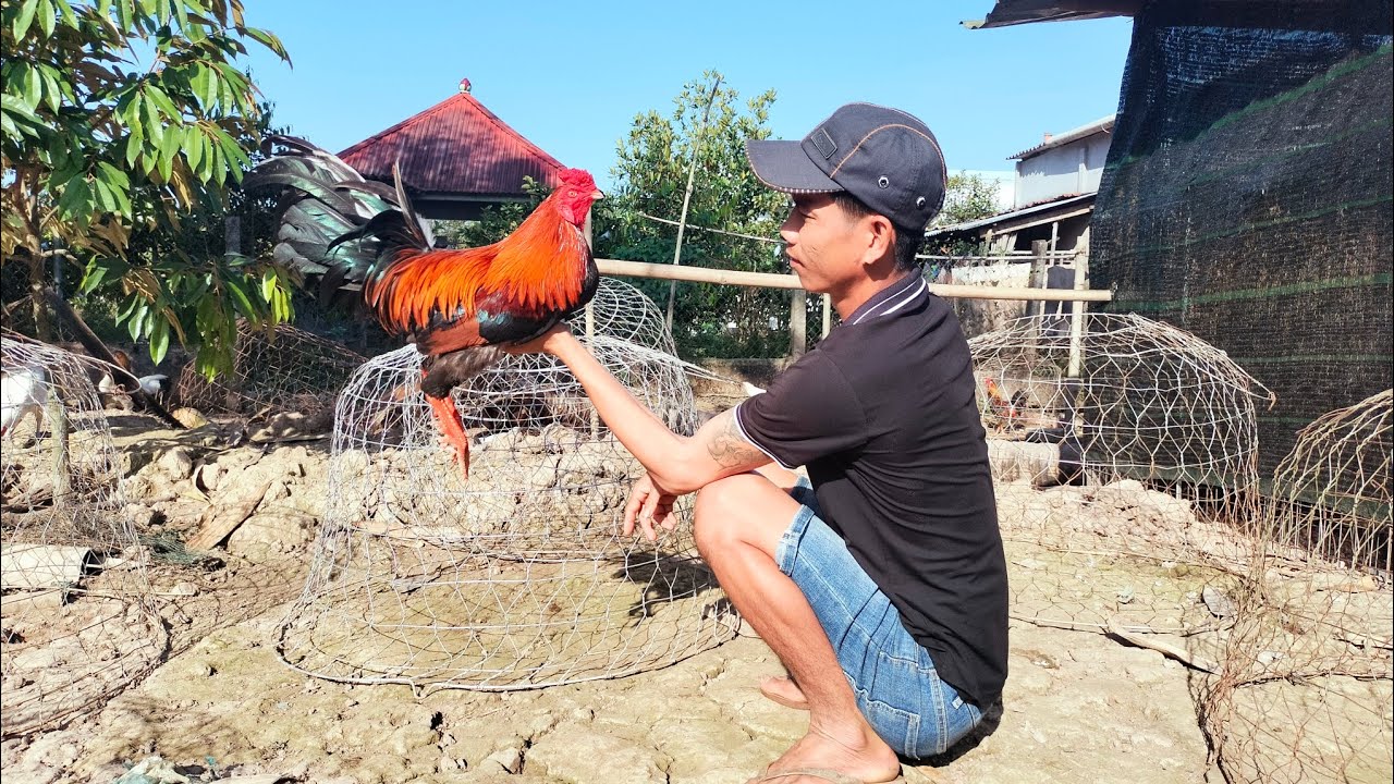 2/2 Tóp Giỏi Anh Em Xem Vui./ Châu Vĩnh Long. 09.78.14.30.74