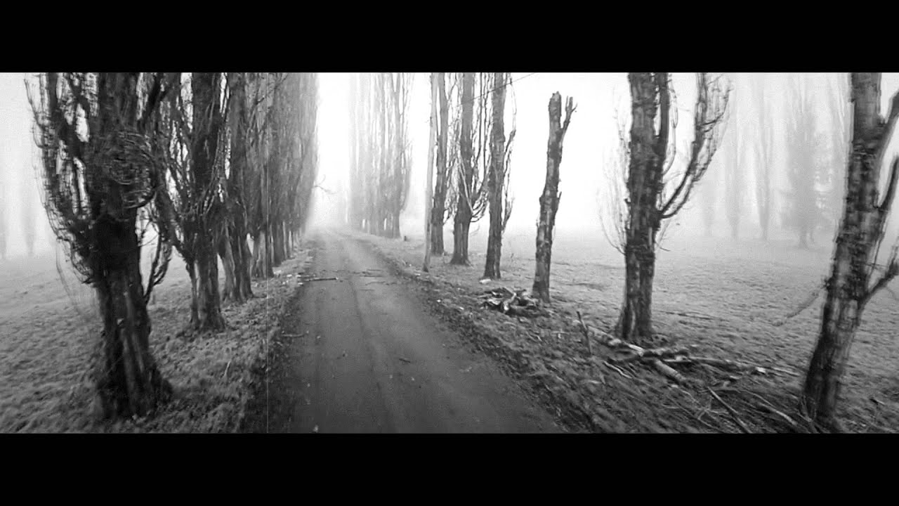 03.Guzior x Slim Szczegi - growl