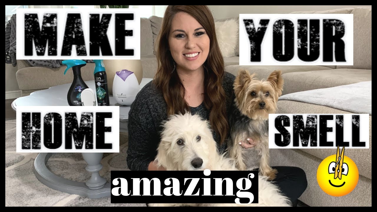 MAKE YOUR HOUSE SMELL AMAZING 17 TIPS | HOW TO MAKE YOUR HOME SMELL GOOD | REMOVING PET ODOR