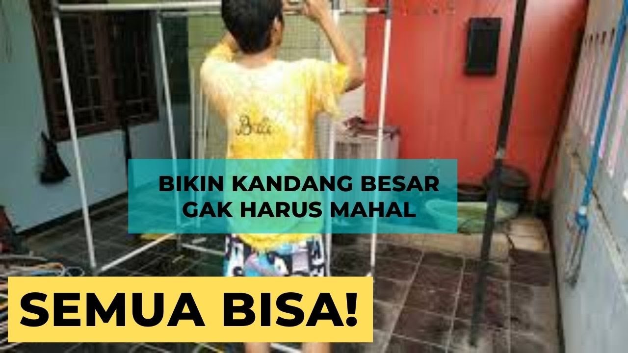 Membuat kandang dari pipa PVC untuk owl