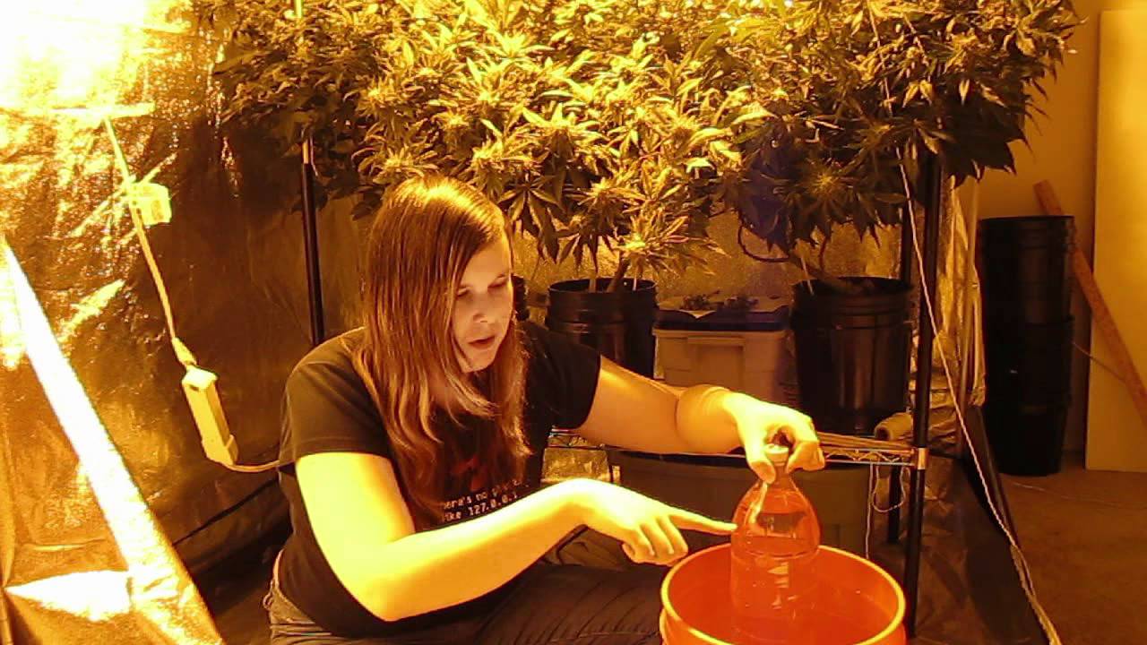 How to build a bong (ganjune giveaway!)