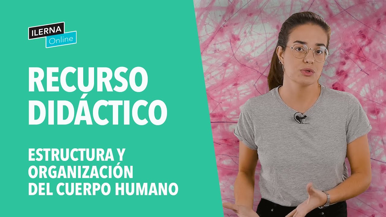 Estructura y organizaci&oacute;n del cuerpo humano