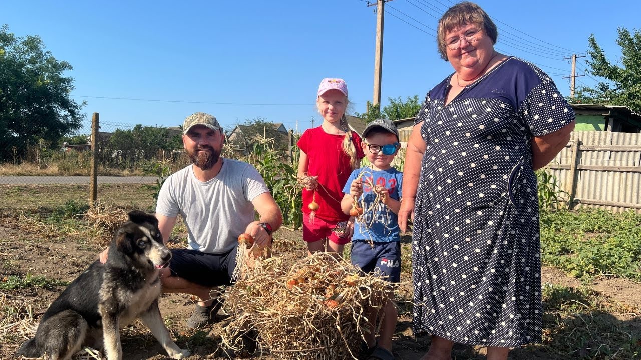 Веселье в Village Harvest: Забавные дети, наша собака и сладкая кукуруза