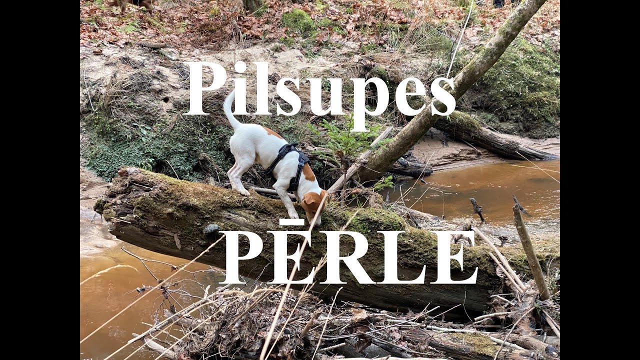 PĀRGĀJIENS: 
