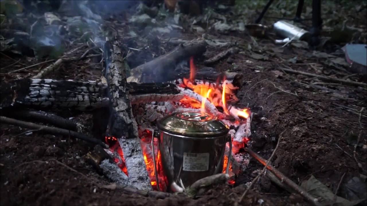 How To Make Wild Coffee (cleavers coffee)