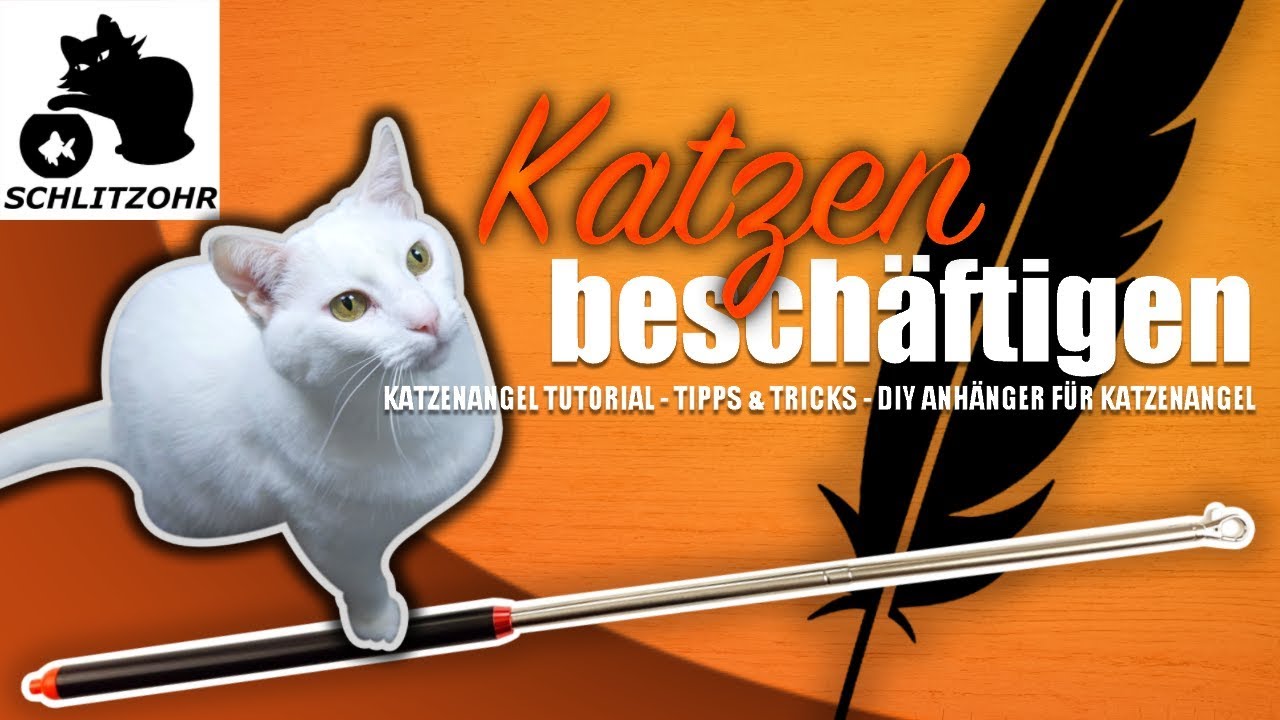 🔥Katze beschäftigen / Katzenangel Tutorial / Katzenspielzeug selber machen / mit Katze spielen