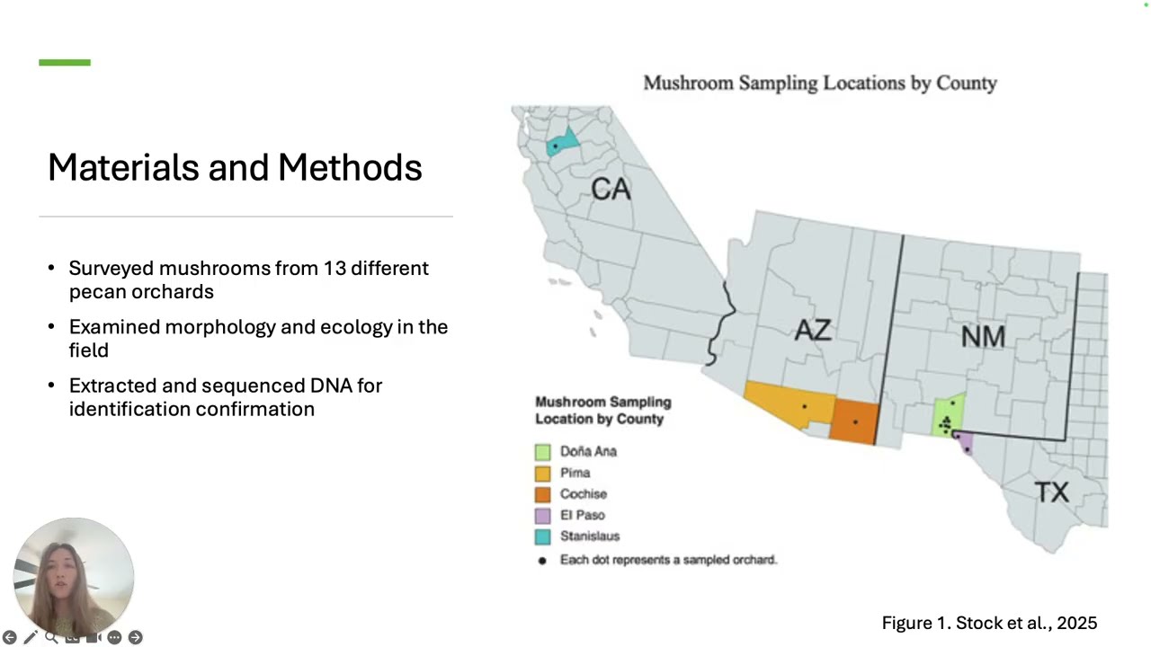 Exploring Mushroom Diversity in Pecan Orchards