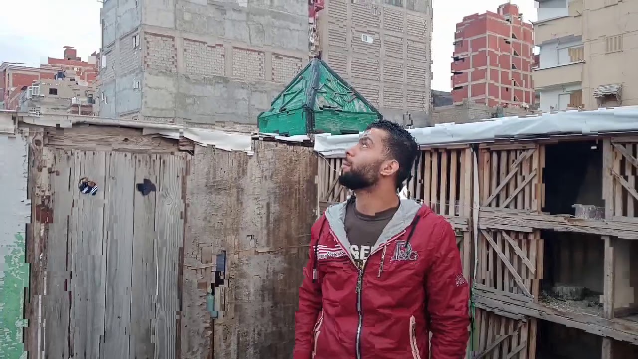 نش التماسي الفديو متصور من 5أيام مش فاضى أنزلو مصور الطرايب قبل الفديو وبعد الفديو