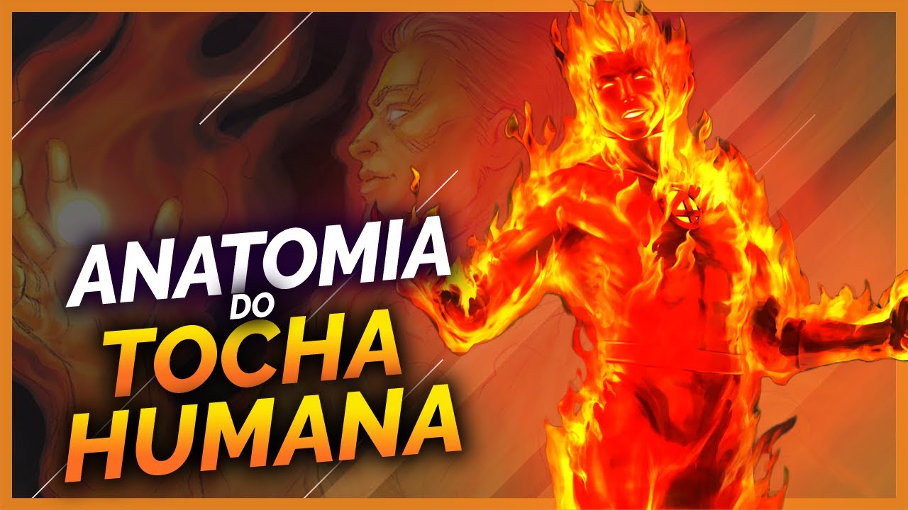 10 FATOS SOBRE A ANATOMIA DO TOCHA HUMANA