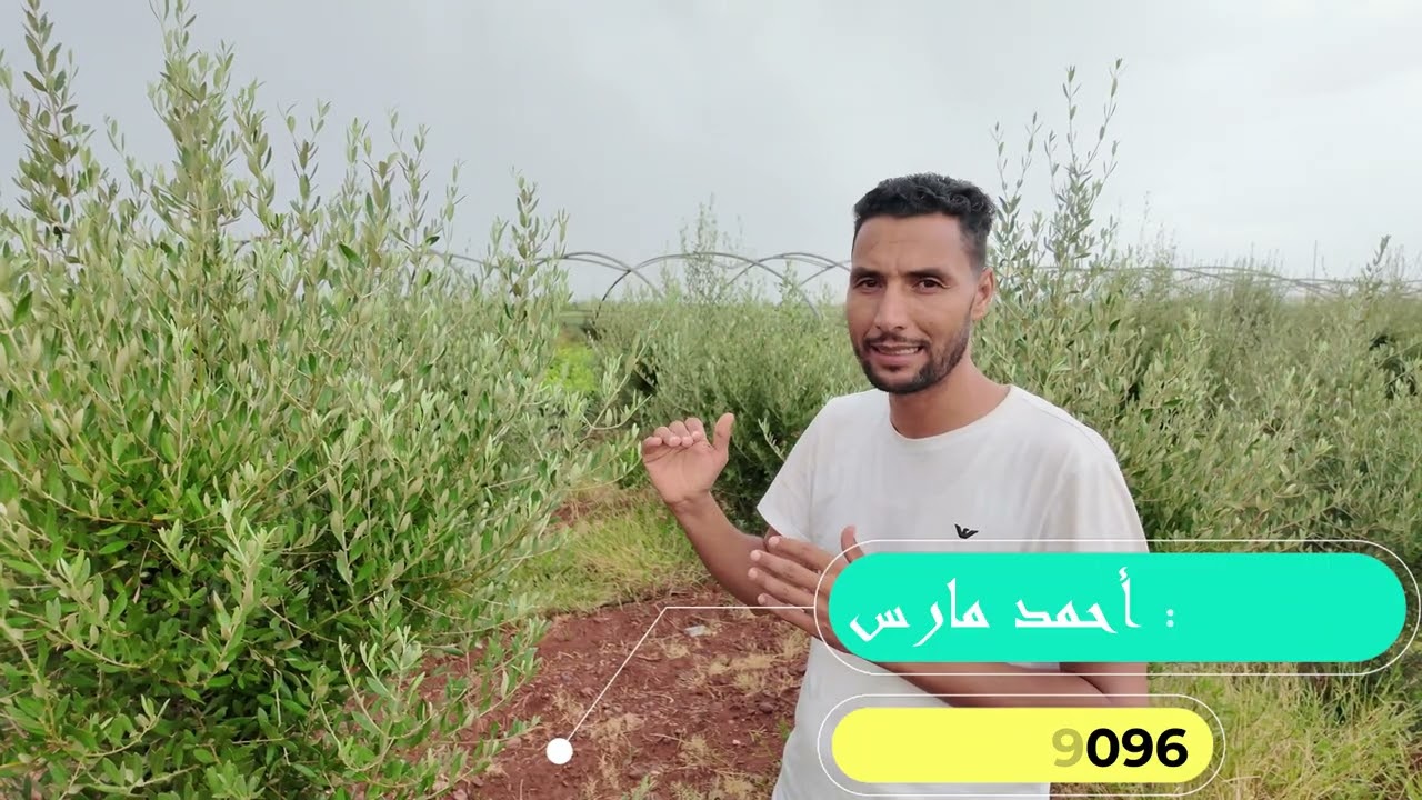 زيارة ميدانية لمشتل معتمد من لونسا من منطقة العطاوية الجزء الثاني بعد تعديل الصوت
