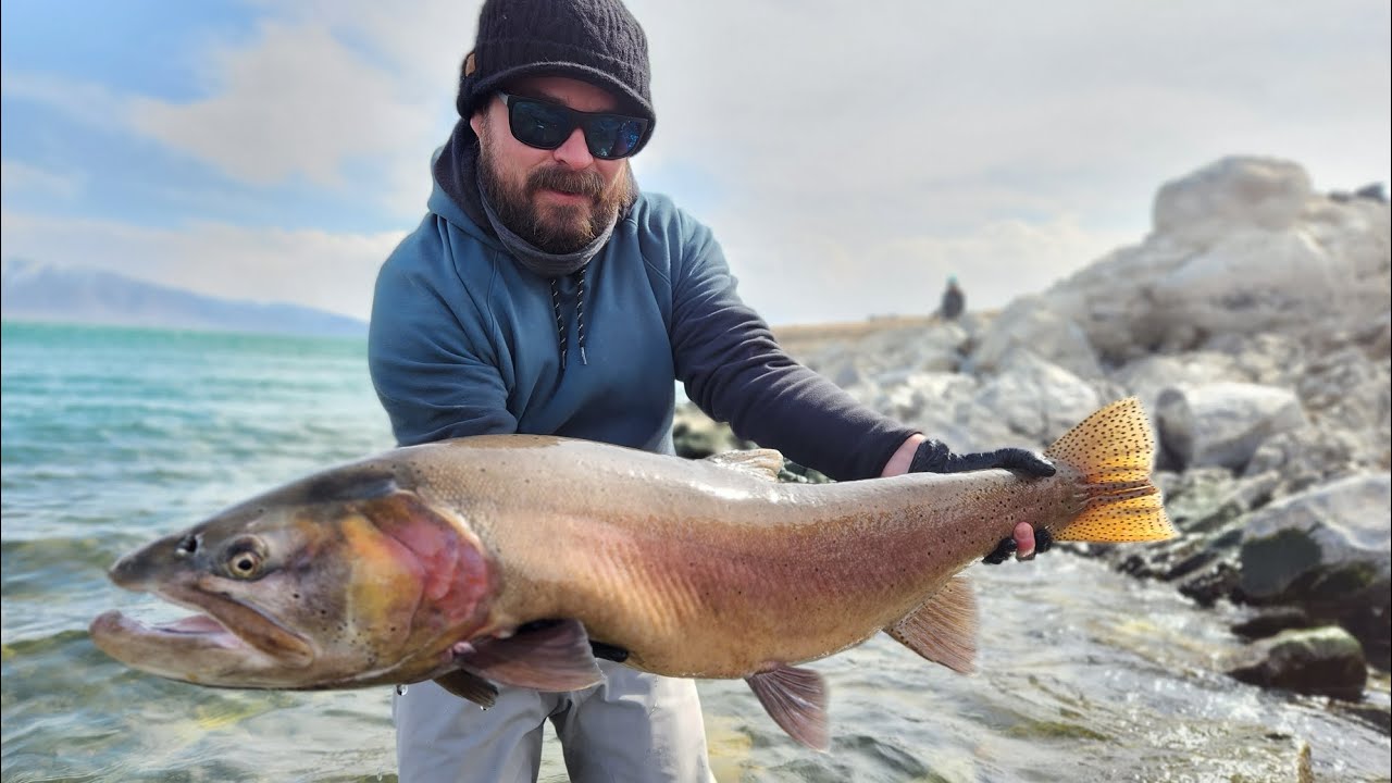 Fly Fishing For Big Cutthroat Trout On Pyramid Lake Nevada March 2023