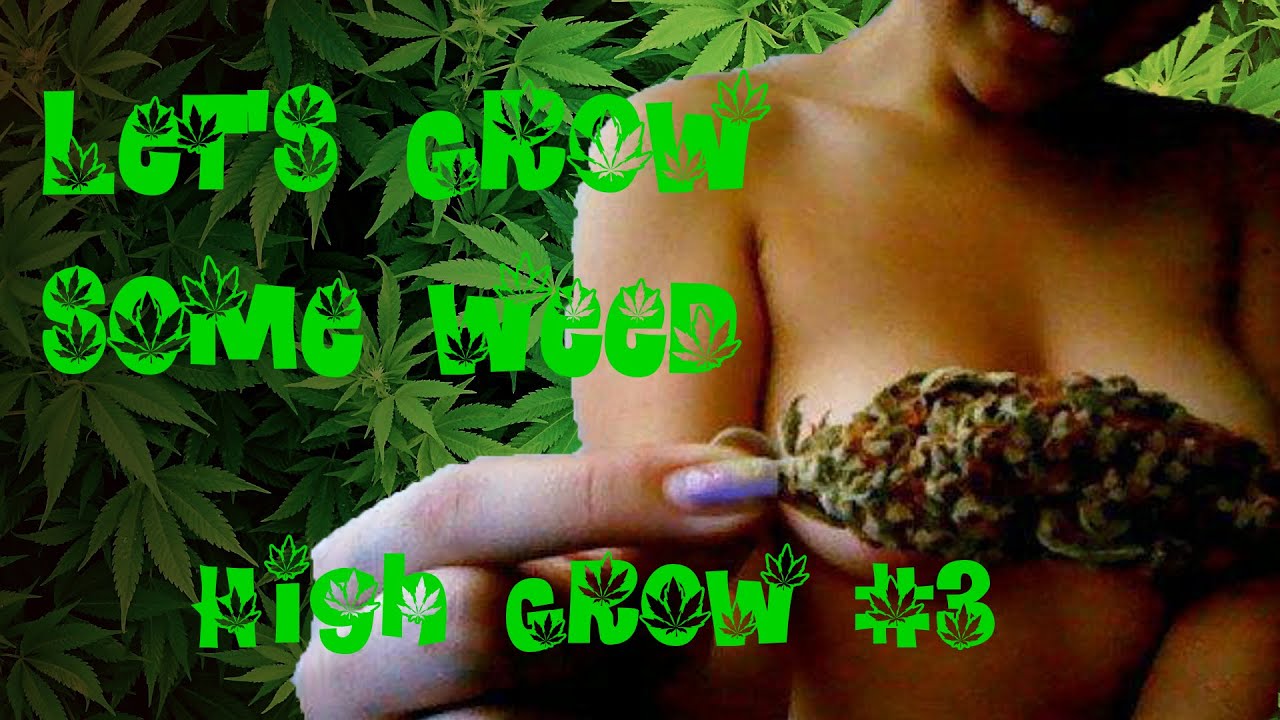 Let's Grow some Weed #3 Die kann man ja fast schon ausdrucken und rauchen... (Let's Play German)