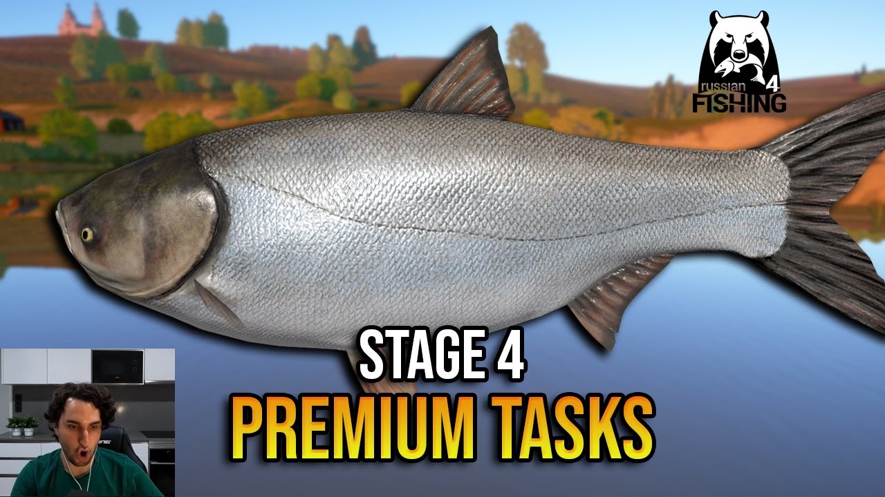 STAGE 4 (Premium) Anniversary 2025 - Russian Fishing 4
