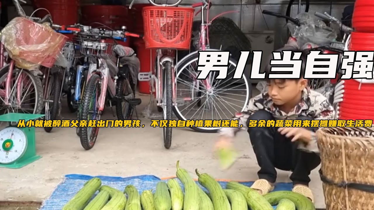 从小就被醉酒父亲赶出门的男孩，不仅独自种植果树还能，多余的蔬菜用来摆摊赚取生活费《男儿当自强》1