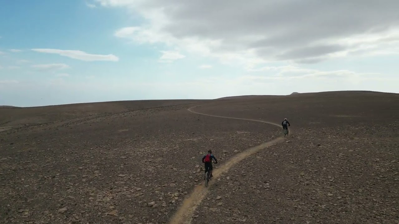 סינגל ערד מצדה