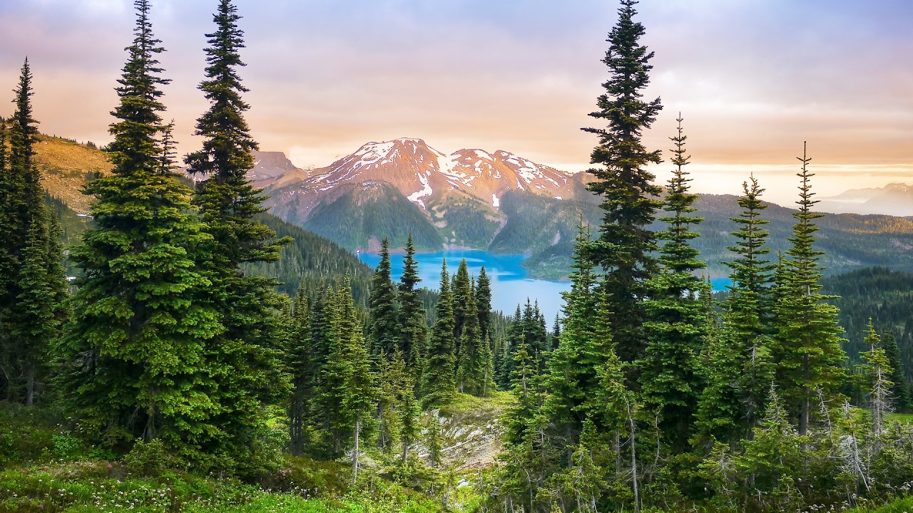 Beautiful Relaxing Music, Peaceful Soothing Music, 