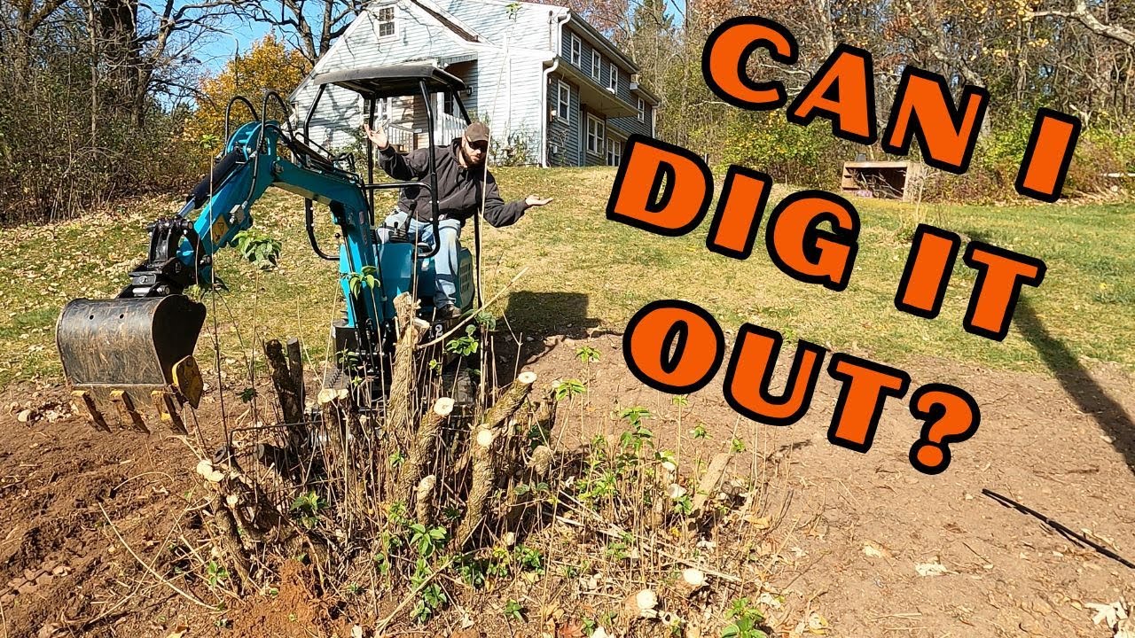 DIGGING OUT ROOT BALLS WITH THE CHINESE EXCAVATOR