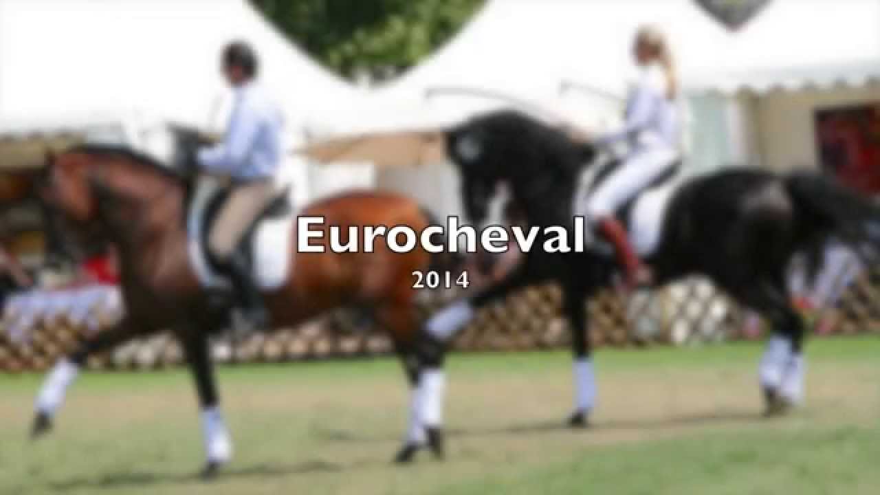 Eurocheval 2014 - Müller's Pferdeparadies