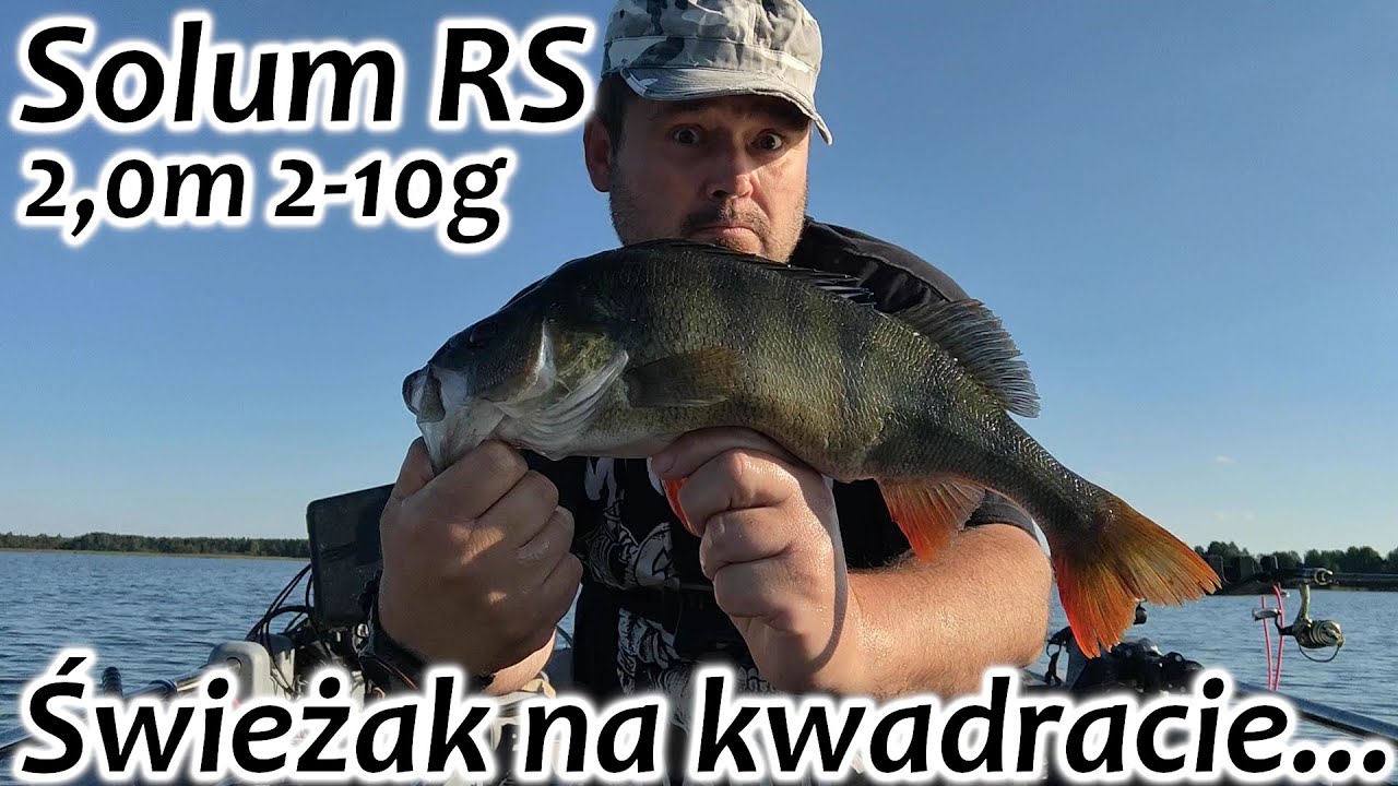 Solum RS 2,0m 2-10g - Świeżak na kwadracie