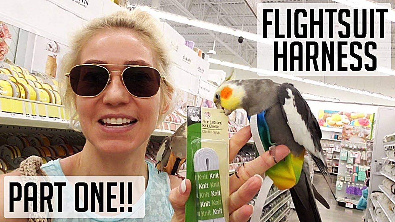 How to put on/remove PARROT'S flightsuit harness (PART 1 of 2)