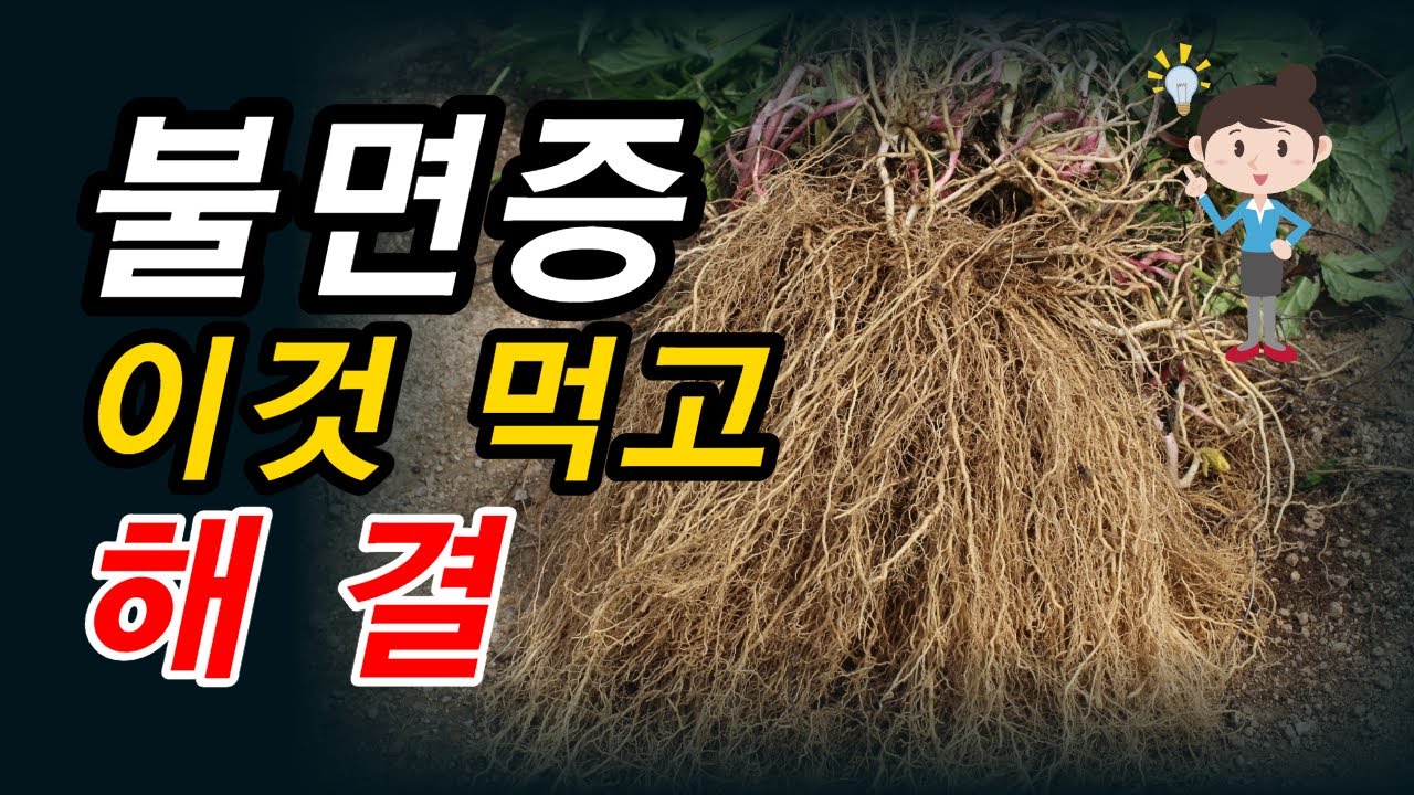 불면증 있다면 이것 꼭 드세요[약초방송]