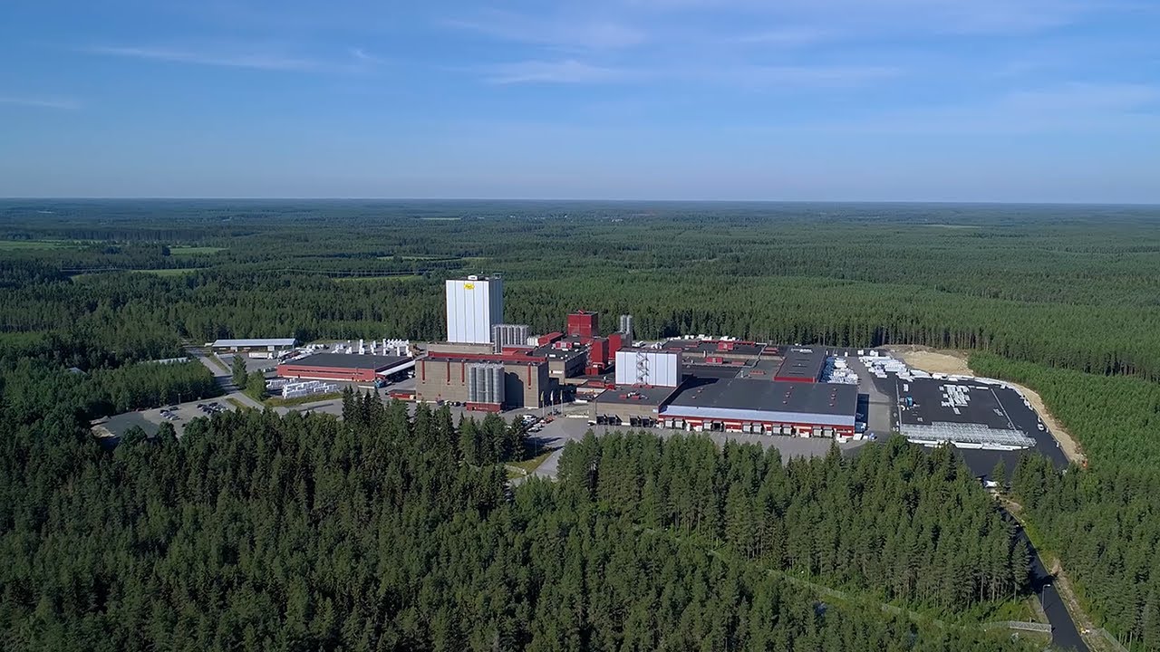 Rani company presentation