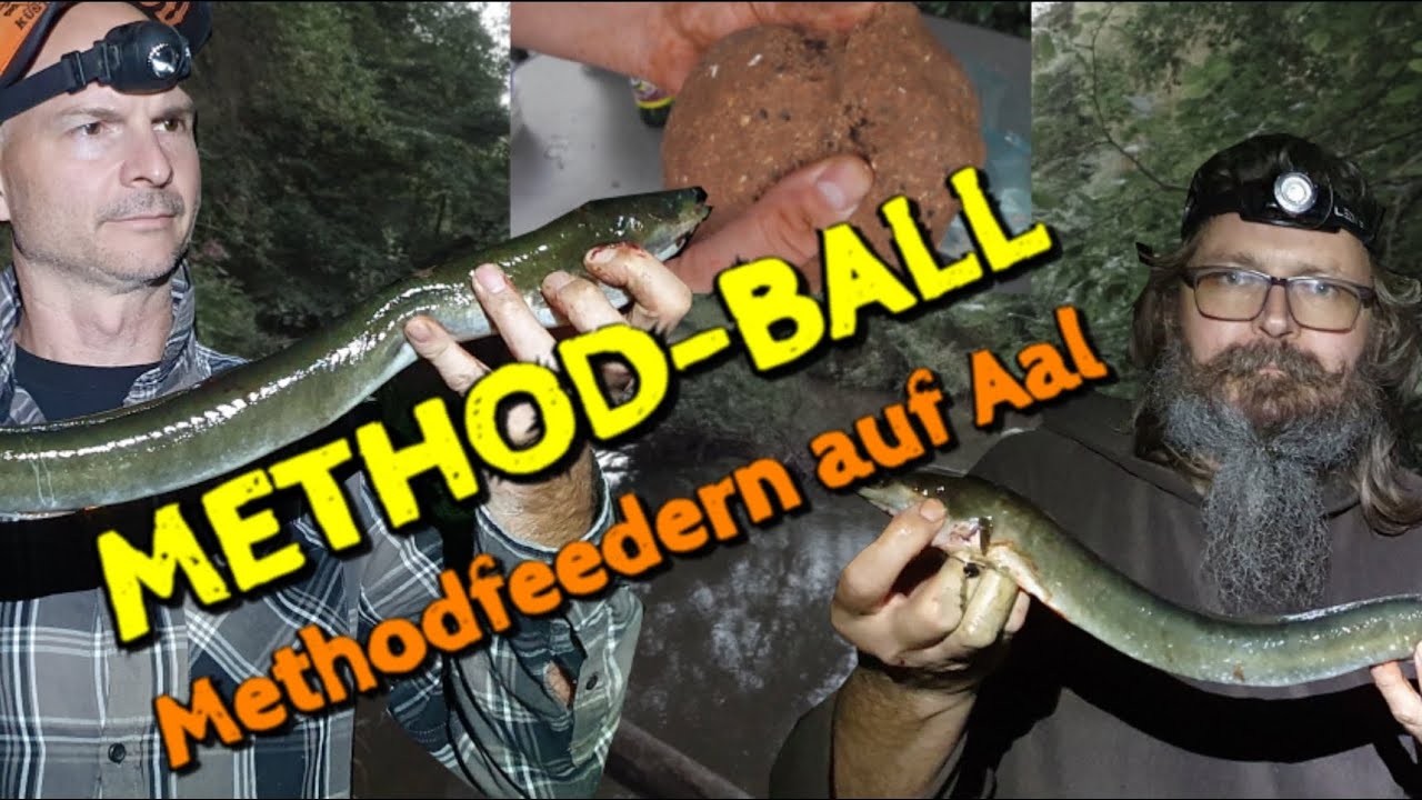 Methodfeedern auf AAL mit dem METHOD BALL - Angeln im ROTLICHTVIERTEL