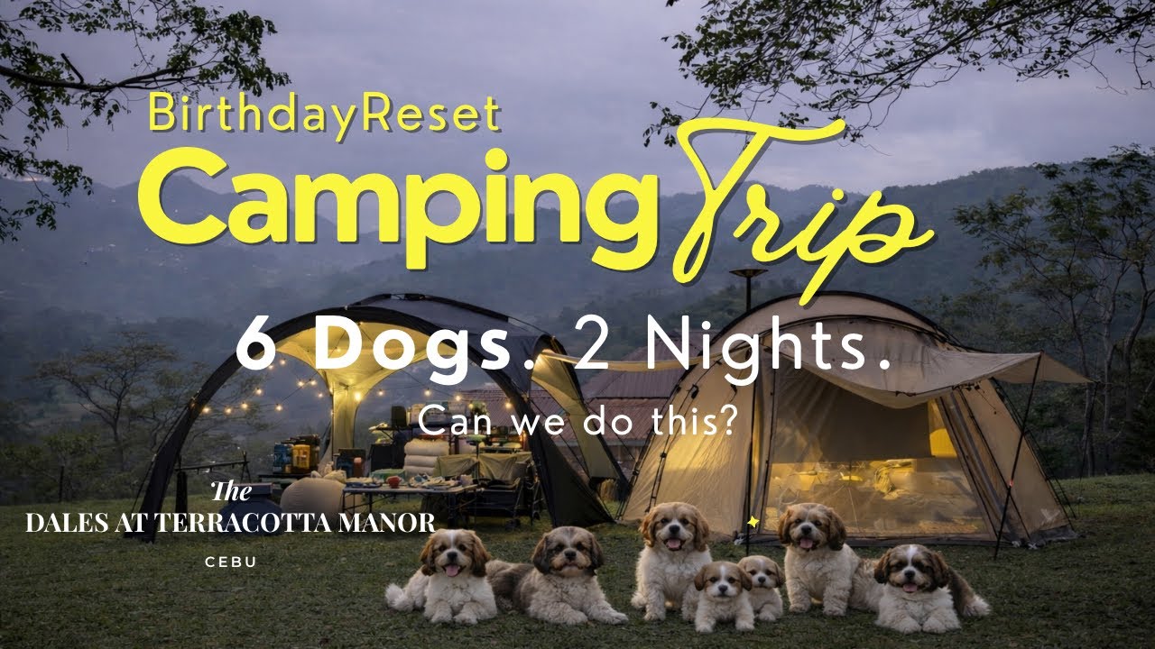 Camping with 6 Dogs in Busay, Cebu | 39th Birthday Cinematic Vlog