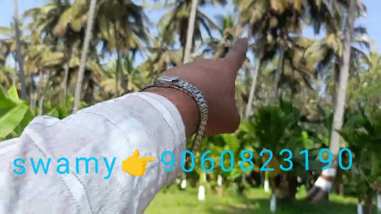 7 acres, per acre 66 lakh and negotiable, from Mysore 43 km🌴🌴🏠🛣️