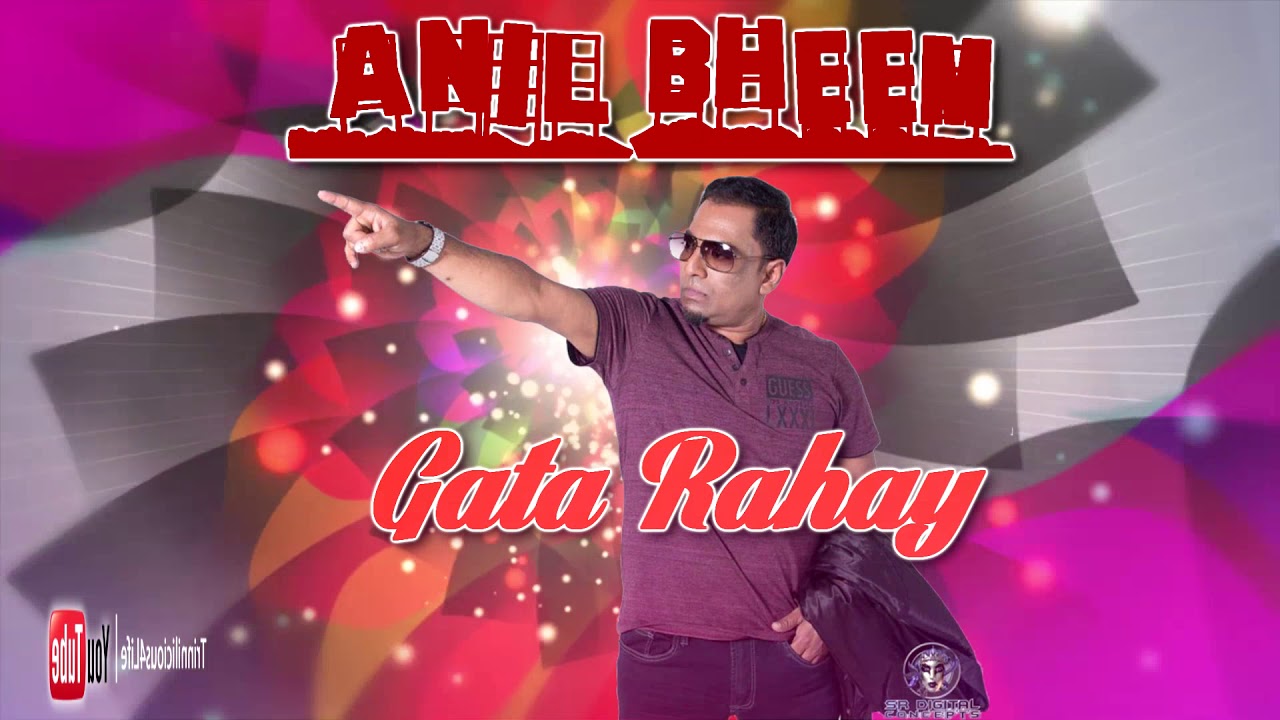 The Vocalist Anil Bheem - Gata Rahe Mera Dil - Bollywood Cover