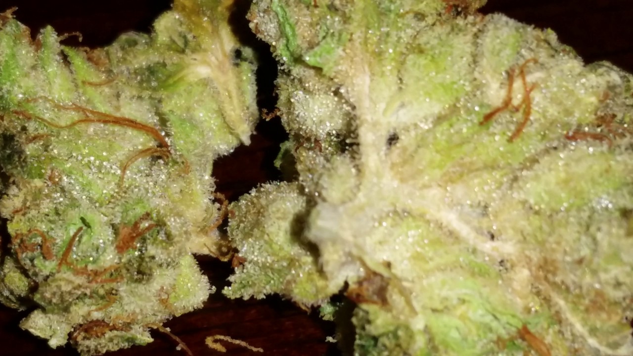 4K Weed Trichomes